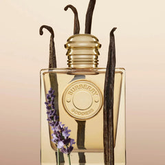 عطر بربري جوديس أو دو بارفان للنساء 100 مل