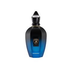 XERJOFF Automobili Lamborghini Avanguardia Eau de Parfum 100ml