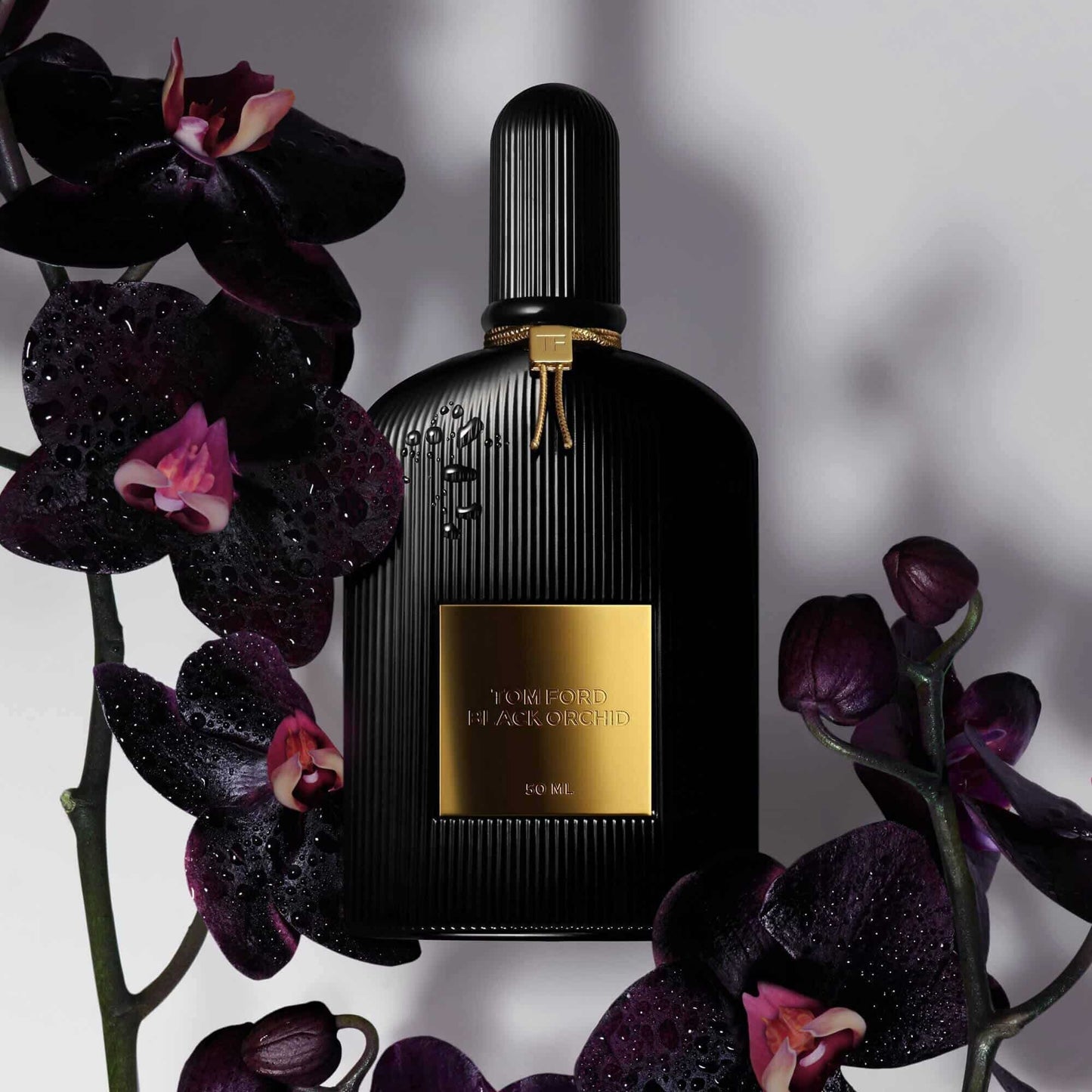 BLACK ORCHID EAU DE PARFUM 100m