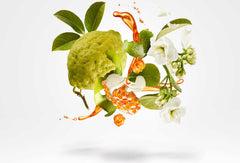 Xerjoff Naxos Eau de Parfum - 100ml (Without box)