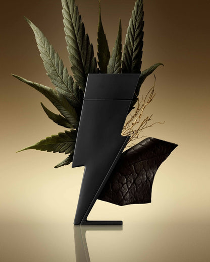 Bad Boy Le Parfum 100ML