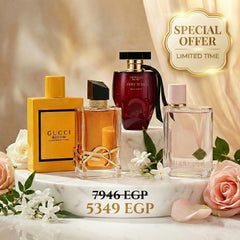 Lady Elegance Bundle